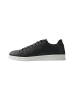 MCS Sneakers MCWilson in Black