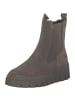 Tamaris Stiefeletten in taupe