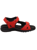 Legero in rot