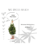 NatureNest Weihnachtsbaum mit Beleuchtung Starlight im Weihnachtsmann-Topf  