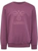Hummel Kinder Sweatshirt in Braun