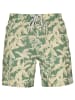 Barts M BALTRA SHORTS in Khaki