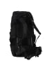 FJÄLLRÄVEN Abisko 48 M-L Trekkingrucksack M-L 72 cm in black