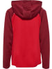 Hummel Kinder Hoodie "Lead 2.0 Zip Hoodie" in Rot
