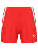 Puma Trainingsshorts TeamLIGA in rot / weiß