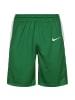 Nike Performance Funktionsshorts Team Stock 20 in grün / weiß