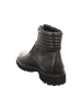 LANCIOR Schnürstiefeletten in schwarz