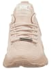 Steve Madden Sneaker in Rose