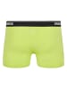 Urban Classics Boxershorts in island aop+lime+grey