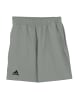 adidas Hose Club Short 9 in Grau