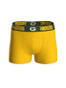 NFL Boxershort 6er Pack in Green Bay Packers/Schwarz