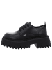 Buffalo Schnürschuhe in schwarz