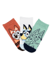 Bluey Bingo Kinder Sneaker Socken 6er Pack in Mehrfarbig