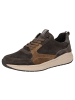 Sioux Sneaker Tasulio-702-J in braun