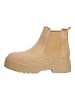 Steve Madden Stiefelette in Camel