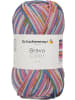 Schachenmayr since 1822 Handstrickgarne Bravo Color, 50g in Candy