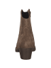 Tamaris Stiefeletten in brown