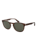 Superdry Herren Sonnenbrillen Panto Braun