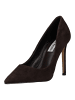 Steve Madden Pumps in Braun