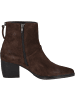 Palado Stiefeletten Aileans in Dunkelbraun