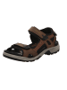 Ecco Sandalette in braun