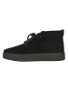Clarks Schnürboots Boxbee Desert in 1219 Black Sde