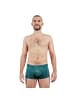 EIN SCHÖNER FLECK ERDE Boxershort 1er Pack in Schöner Mann (Petrol)