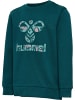 Hummel Sweatshirt Hmllime Kinder in DEEP TEAL