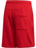 adidas Sportshorts für Herren in schwarz
