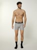 Nur Die  Langer Boxer Long Boxer Cotton Active in Grau