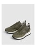Pepe Jeans Sneakers Ari in Kaki