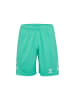 Hummel Trainingsset Shirt & Shorts Atmungsaktiv Polyester in Grün