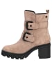 Caprice Stiefelette in TAUPE SUEDE