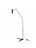 Licht-Erlebnisse Stehlampe (B)50 x (L)70 x (H)160 cm in Schwarz