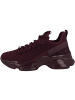 Steve Madden Sneaker low Maxilla-R-E in bordeaux