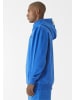 9N1M SENSE Sweat & Fleece - Hoodies in cobaltblue