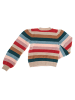 GAP Pullover in Multicolored