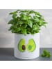 Mr. & Mrs. Panda XL Blumentopf Avocado Pärchen ohne Spruch in Weiß