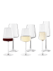 Stölzle 6er Set Wein- und Sektgläser Power transparent in transparent