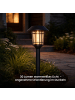 STAR Trading Solar-Gartenleuchte Filip
