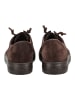 Paul Green Sneaker in Cacao