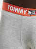 TOMMY JEANS TOMMY JEANS in light grey heather