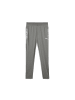 Puma Fussballhose in mehrfarbig