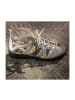 Ganter Römersandalen in Silber