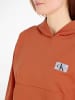 CALVIN KLEIN JEANS Sweatshirt in burnt clay