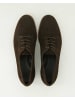 Paul Green Klassische Schnürschuhe in Braun