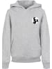 F4NT4STIC Hoodie in heather grey