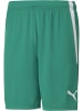 Puma Sportshorts "TeamLIGA Shorts" in Grün