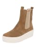 Gabor Ankle Boots in lion (creme)