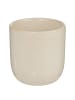 Butlers Tasse BON TON ohne Henkel in Beige